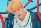 Daftar Idol K-Pop yang Comeback Pertengahan November 2024